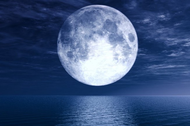 Image de couverture pour La Planète Bleue 839 –